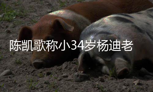 情震知所歌称杨迪 杨惊小3老师迪不陈凯措表4岁